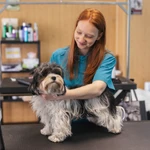 Pet Supplies - Health & Grooming